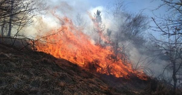 Kërçovë: Zjarr i madh në fshatin Kolibar !