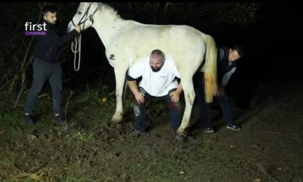 Shqiptari vuri bast në emision që mund ta ngritë kalin, shkuan direkt në fermë për ta provuar (VIDEO)