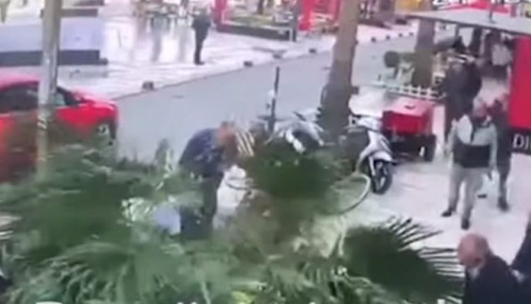 Pamje të rënda nga Durrësi, këputet palma dhe zë poshtë kalimtarët (VIDEO)