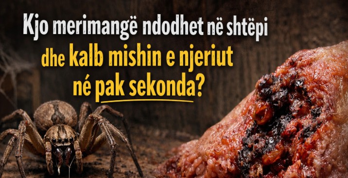 Kjo merimangë ndodhet në shtëpi dhe kalb mishin e njeriut në pak sekonda..