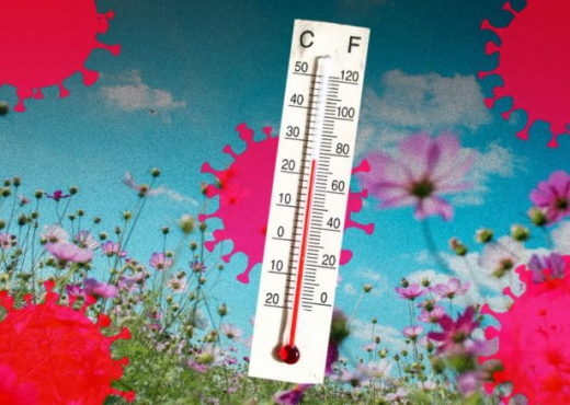 Eksperti i OBSH: Në diell në temperaturë 24° dhe me lagështi 20% Koronavirusi zhduket për dy minuta