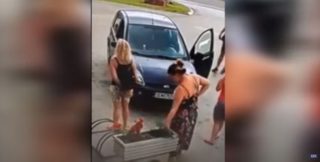 Kërçovë disa gra inçizohen duke vjedhur lule ! (VIDEO)