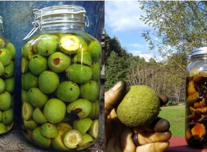 Arrat e pabëra dhe mjalti ilaç çudibërës