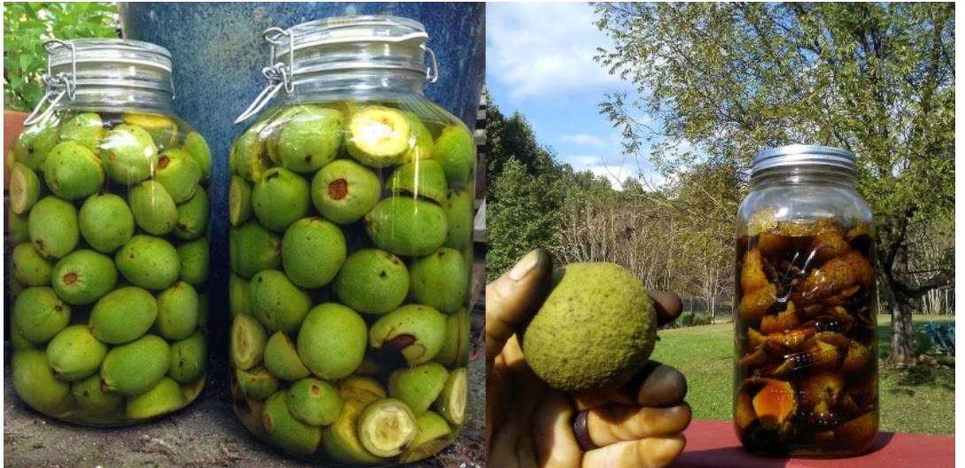 Arrat e pabëra dhe mjalti ilaç çudibërës