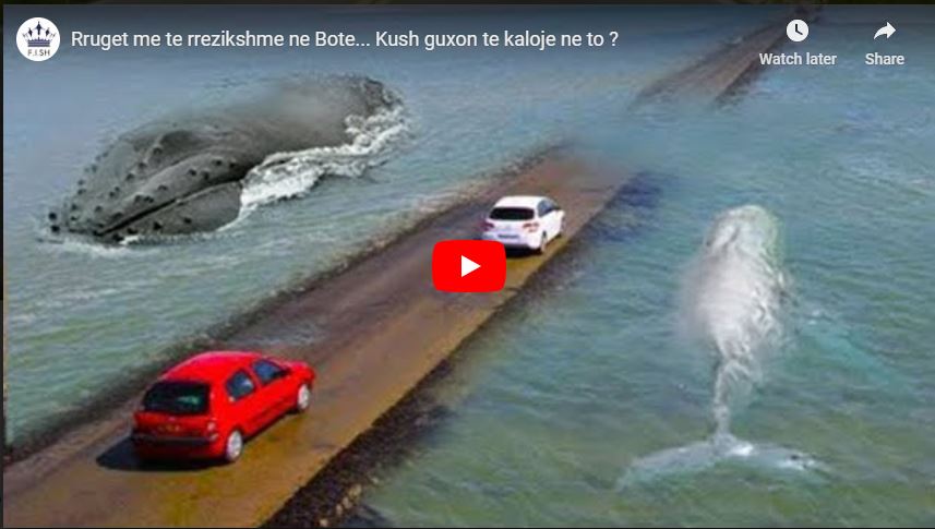 Rruget Me Te RreziKshme Ne Bote… Kush Guxon Te Kaloje Ne To ? (VIDEO)