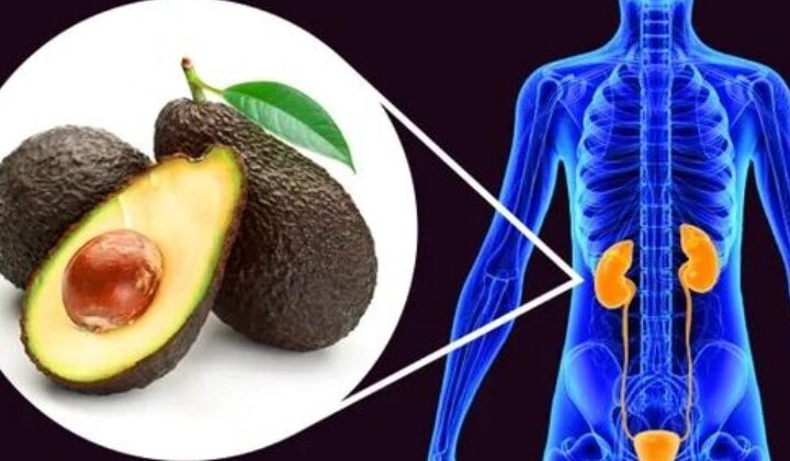 Ja disa arsye për të ngrënë avokado..