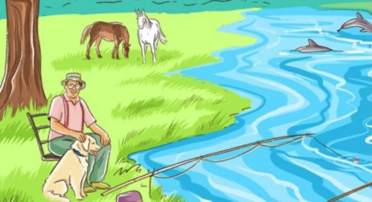 A mund ta gjeni se çka është gabim në këto foto?