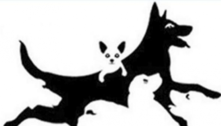 Sa qen shihni në foto? Numri zbulon moshën tuaj aktuale mendore..