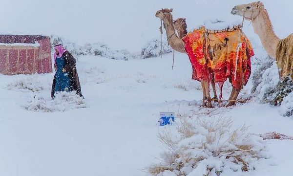 Borë në shkretëtirë, temperaturat në Arabinë Saudite zbresin deri në -2 gradë Celsius (FOTO)