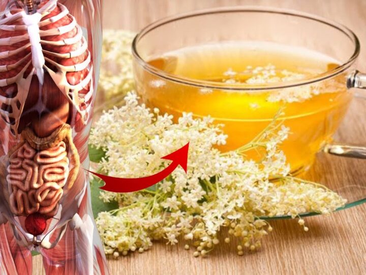 Gjendet dhe tek ne ! Caji i saj shëron 1 problem mjaft të përhapur..