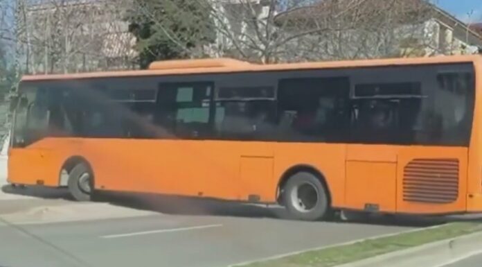 Shoferi i autobusit “çmendet” fare, shikoni se çfarë bën në mes të rrugës.. (Video)