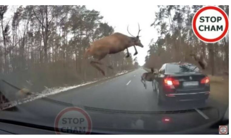 Çfarë fati – BMW për pak i ndodhi kjo..(VIDEO)