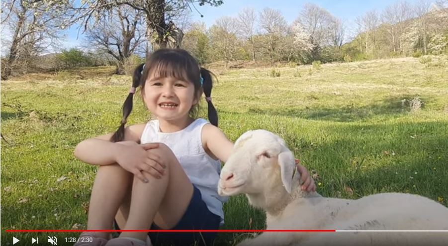 Dardha bie ndër dardhë.. Rejana Dervishi publikon këngën e parë..(VIDEO)