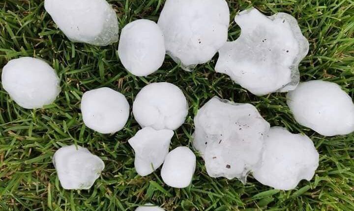 Breshëri shkatëron pemët në Kërçovë.. (FOTO)