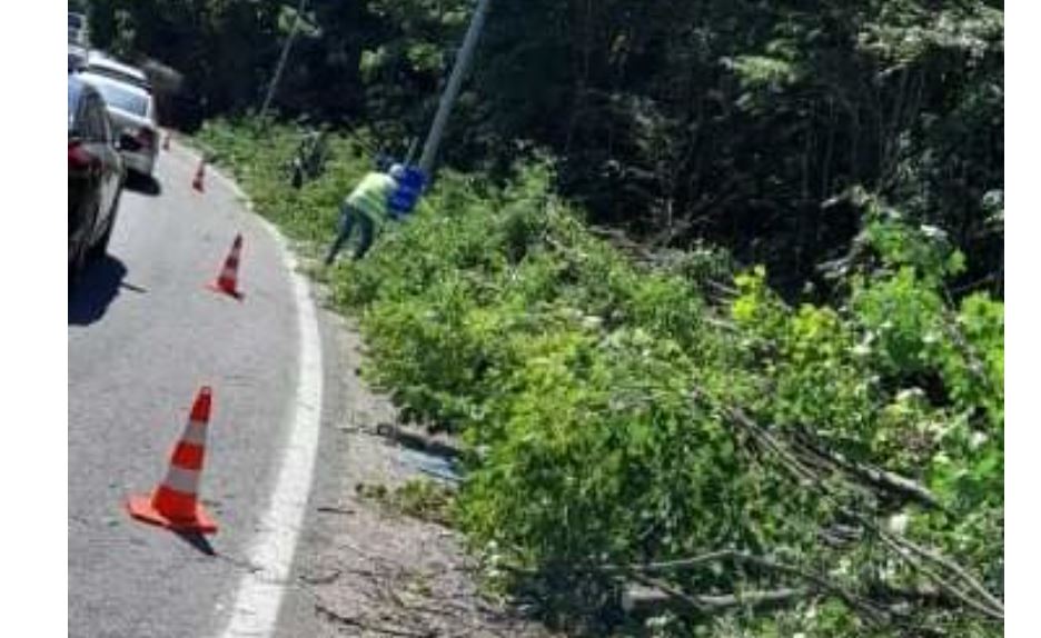 Filloi krasitja e drunjve në rrugën Gostivar -Kërçovë..