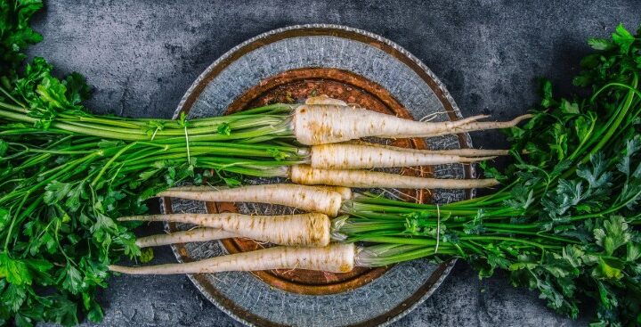 Sa prej jush e njohin pastinakun..? Ndihmon shumë për mëlçinë dhe zemrën..