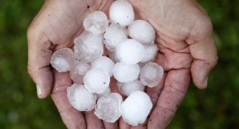 Breshër me madhësi sa kokrra e arrës në disa pjesë të Maqedonisë