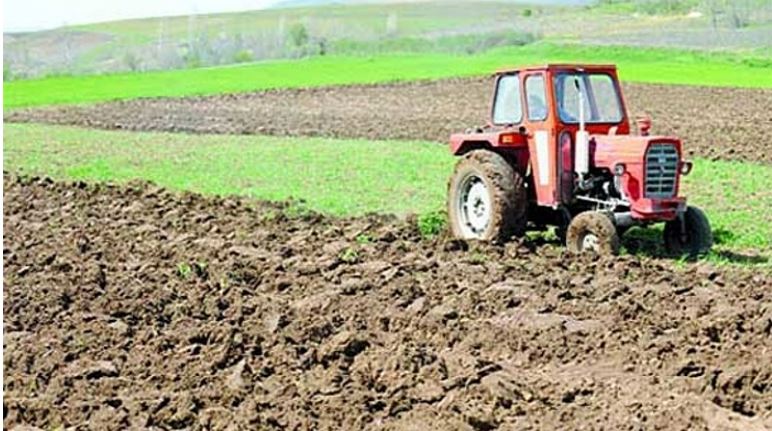 Vetëm prodhimi vendor mund të na shpëtoj nga kriza e rritjes së çmimeve..