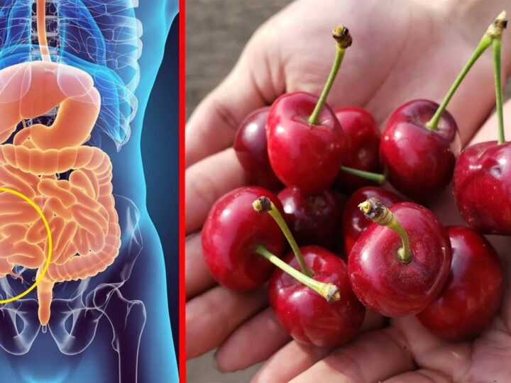 Këto janë 7 arsyet pse duhet të hani sa më shumë qershi..!?