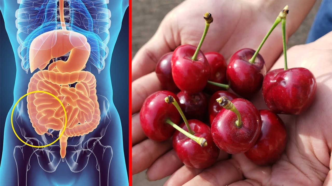 Këto janë 7 arsyet pse duhet të hani sa më shumë qershi..!?