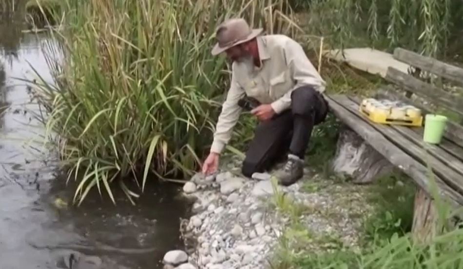 Shqiptari i veçantë në Zvicër që fol me peshqit..(VIDEO)