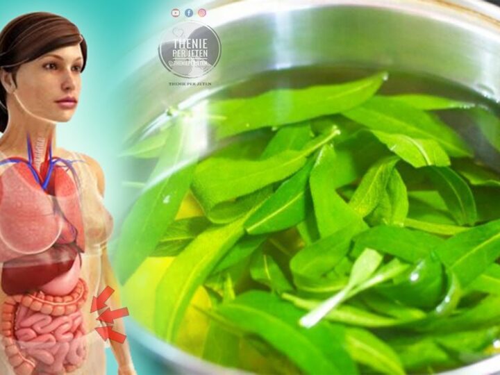 Bima më shëruese në planet: shëron problemet me lukthin, dhe per shume semundje tjera..!