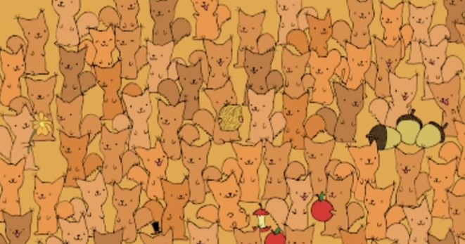 A mund ta gjeni miun e fshehur në mesin e ketrave? Testoni shikimin..