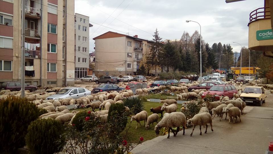 Delet i ”pushtojnë” rrugët e Kërçovës (Foto)