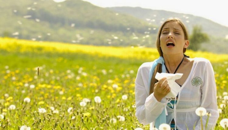 Vuani nga alergjitë e pranverës? Ka një zgjidhje natyrale..