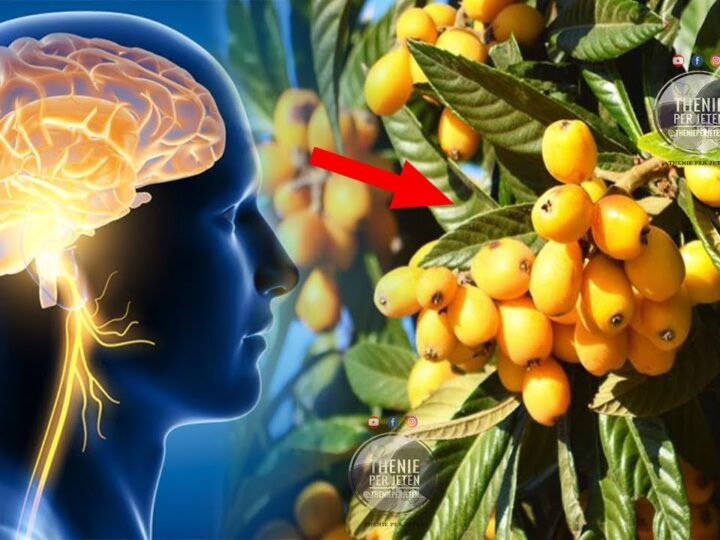 Fruti i njohur i cili përmirëson shikimin, forcon mëlçinë dhe punën e veshkave..