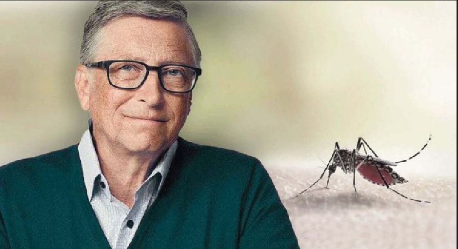 Bill Gates lëshon miliona mushkonja në ajër, zbulohet dhe sekreti i çuditshëm pse..