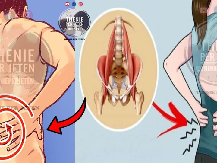 “Muskuli i shpirtit”, ndoshta as nuk e dini që e keni, por ju duhet të kujdeseni shumë për të..!