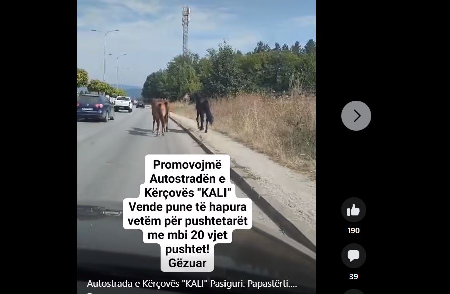 Kërçovë kuajt vahzdojnë të rrezikojnë rrugën e magjistrales..! (VIDEO)