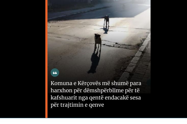 Komuna e Kërçovës më shumë para harxhon për dëmshpërblime për të kafshuarit nga qentë endacakë sesa për trajtimin e qenve..!