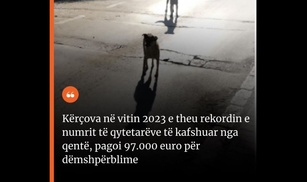 Kërçova në vitin 2023 e theu rekordin e numrit të qytetarëve të kafshuar nga qentë, pagoi 97.000 euro për dëmshpërblime..