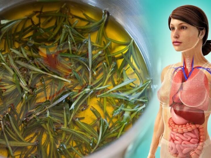 Të mirat e shurupit të Rozmarinës për shëndetin e zemrës dhe veshkave..!?