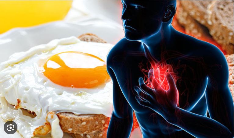 Konsumoni një vezë në ditë zvogëlon shanset e goditjes në zemër apo sëmundjeve kardiovaskulare..