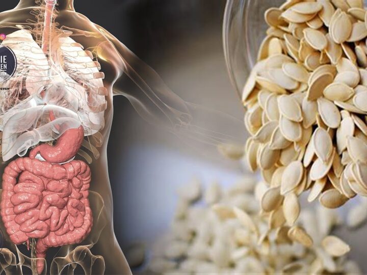 Farat e kungullit bëjnë mrekulli..!?