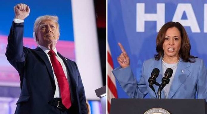 Sondazhet favorizojnë Kamala Harris, Donald Trumpin e kap frika: Jam i gatshëm të debatoj me të..!