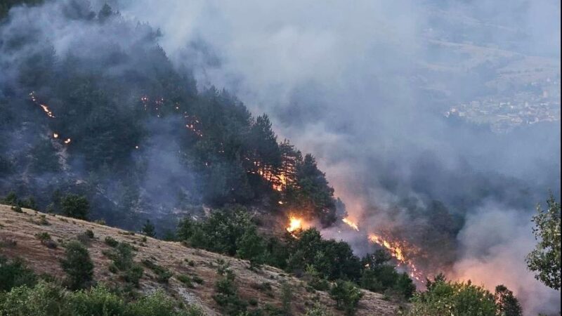 Pesë zjarre aktive në hapësirë të hapur, 42 janë shuar deri në mëngjes !