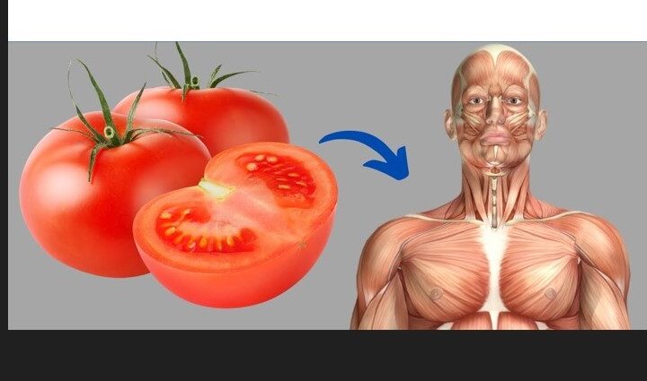 Ja çfarë ndodh saktësisht me trupin nëse hamë domate çdo ditë ?