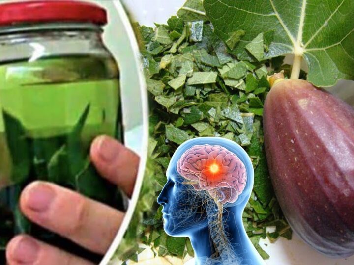 Fuqia e gjetheve të fikut: Një perlë e fshehur për shëndetin tuaj !