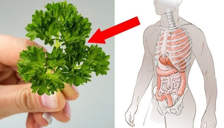 Dobësohuni duke ngrenë ! Ju duhet vetëm majdanoz, limon, dhe uthull molle..