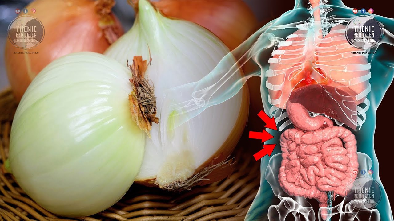 Qepa dhe ilaçi i Lashtësisë..!?