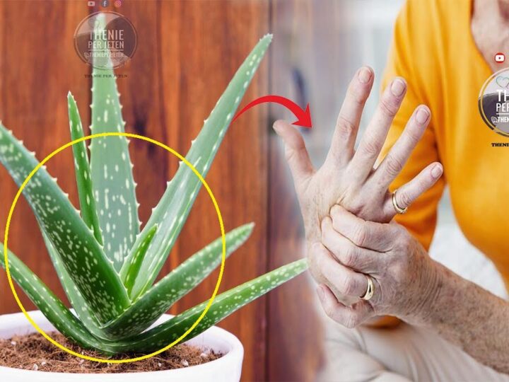 Mrekullitë e përdorimeve të aloe verës..!?