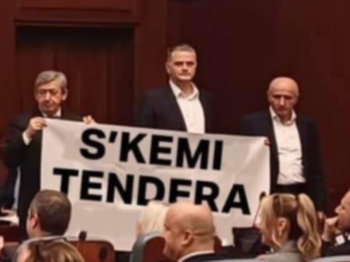 “Shpërthen rrjeti” me deputetët e Frontit Europian..(FOTO)