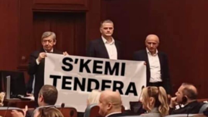 “Shpërthen rrjeti” me deputetët e Frontit Europian..(FOTO)