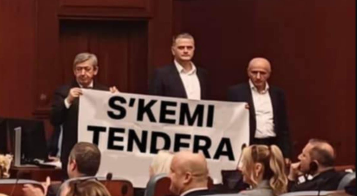 “Shpërthen rrjeti” me deputetët e Frontit Europian..(FOTO)