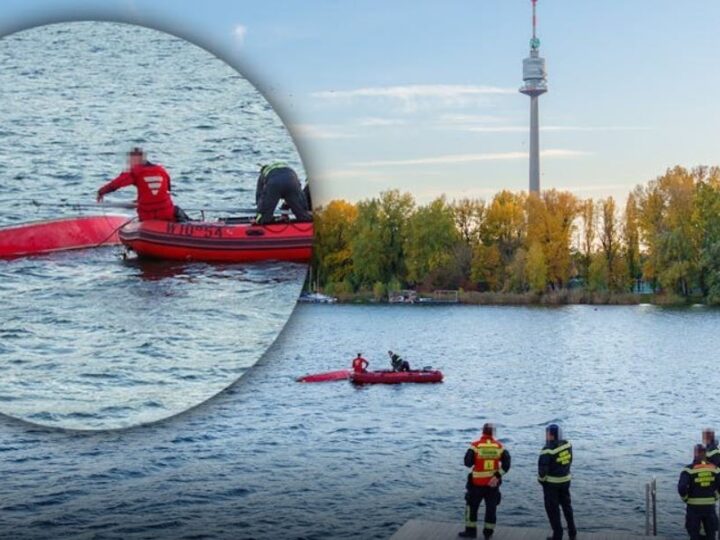 Austri: I fundoset barka familjes që po lundronte për qejf në Danub..!?