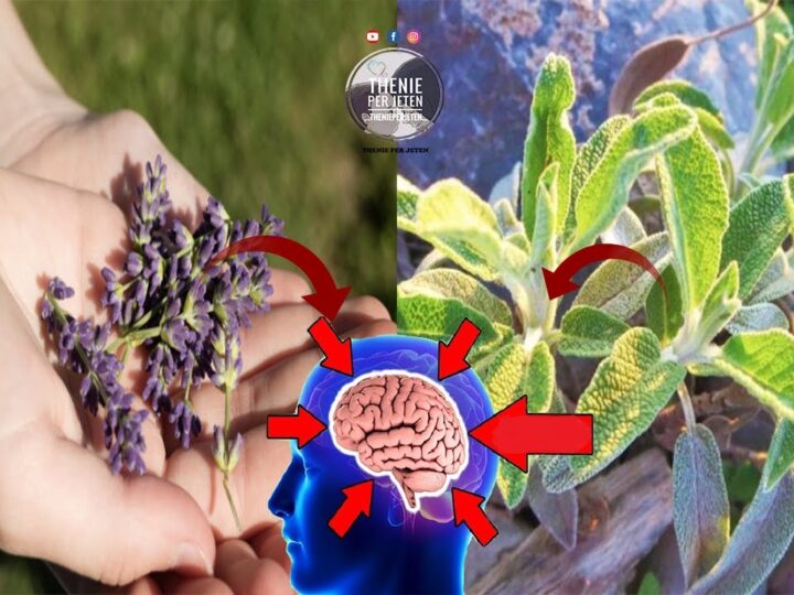 Kurat natyrale kundër dhimbjeve të kokës gjatë vjeshtës !?